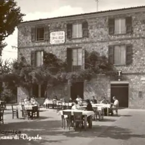 Formica Savignano sul Panaro